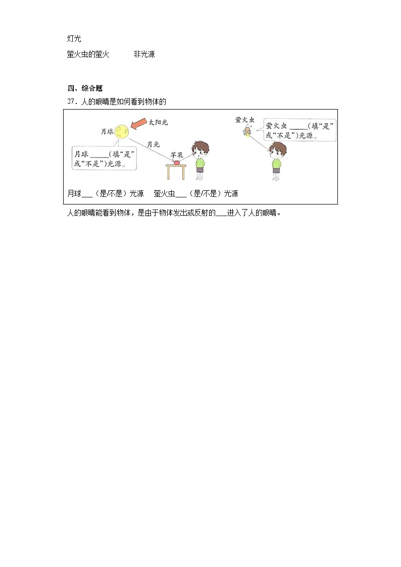 2024-2025教科版科学五年级上册1.《有光的思考》习题03