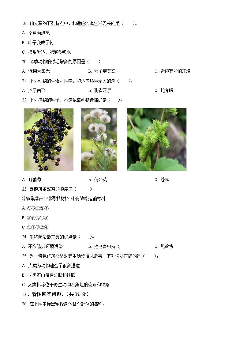 2023-2024学年河北省保定地区冀人版三年级下册期中质量监测科学试卷(原卷版)第2页