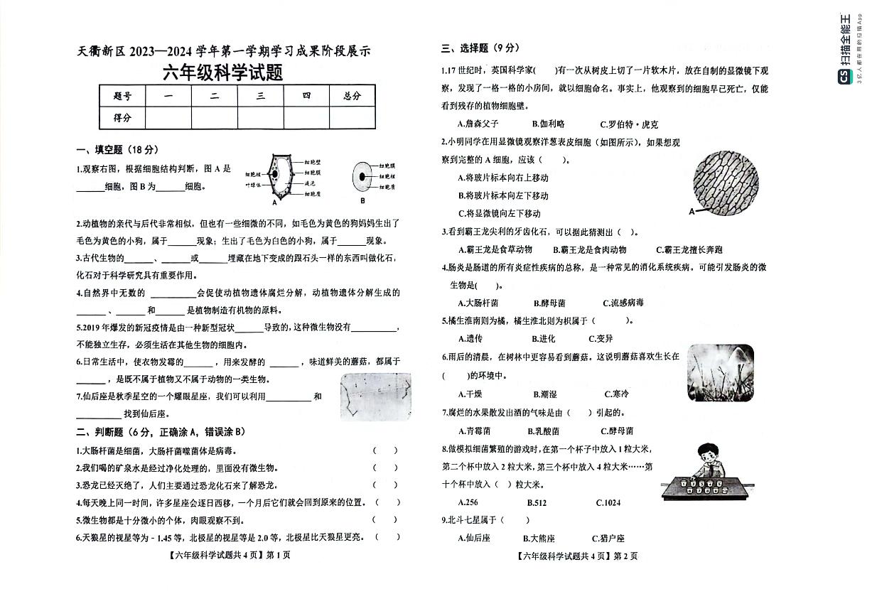 山东省德州市天衢新区2023-2024学年六年级上学期期中考试科学试题