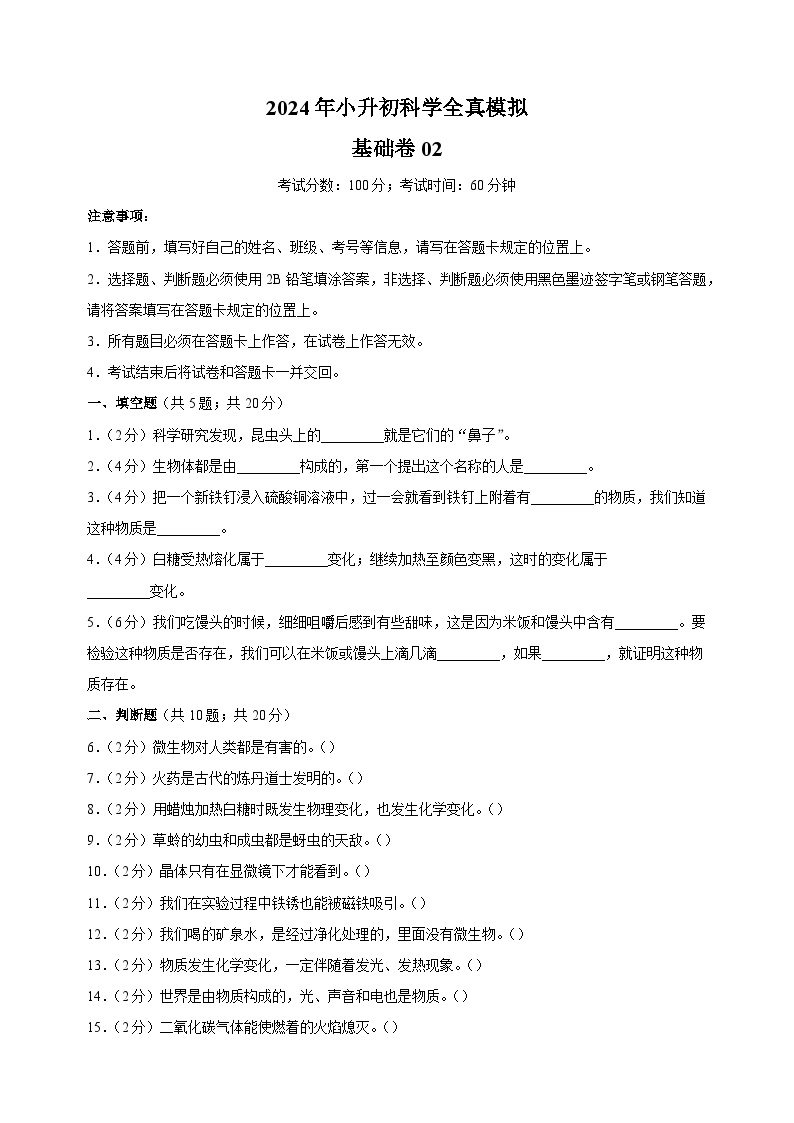 2024年教科版小升初科学全真模拟基础卷02（含答案解析）