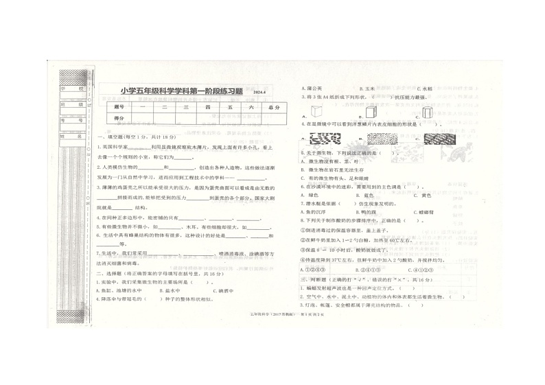 11,辽宁省沈阳市法库县2023-2024学年五年级下学期5月期中科学试题第1页