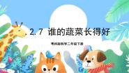 粤教粤科版 (2017)二年级下册7 谁的蔬菜长得好优秀课件ppt
