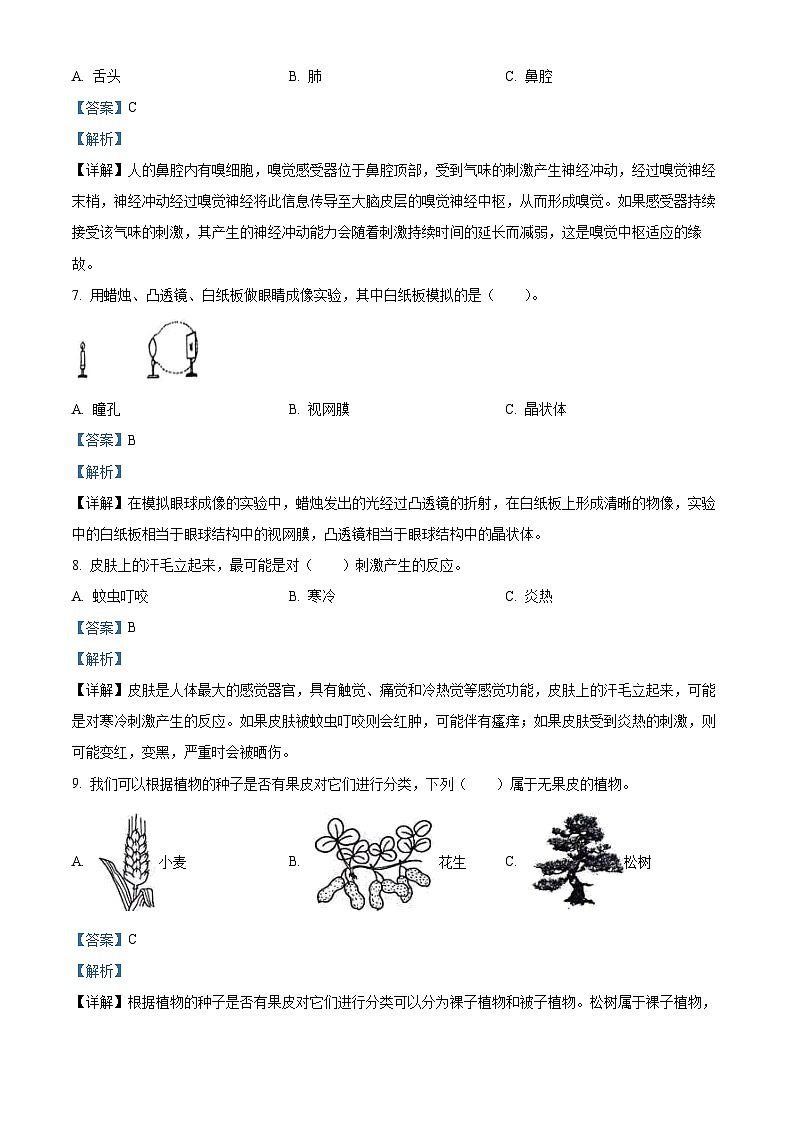 32,2023-2024学年山东省德州市宁津县第二实验小学等2校青岛版六年级下册3月月考科学试卷03
