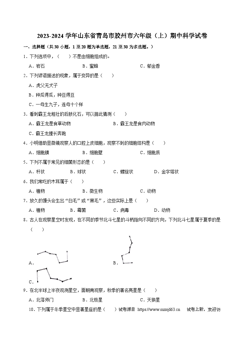 23，山东省青岛市胶州市2023-2024学年六年级上学期11月期中科学试题