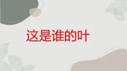 小学一年级上教科版科学：这是谁的叶上课课件