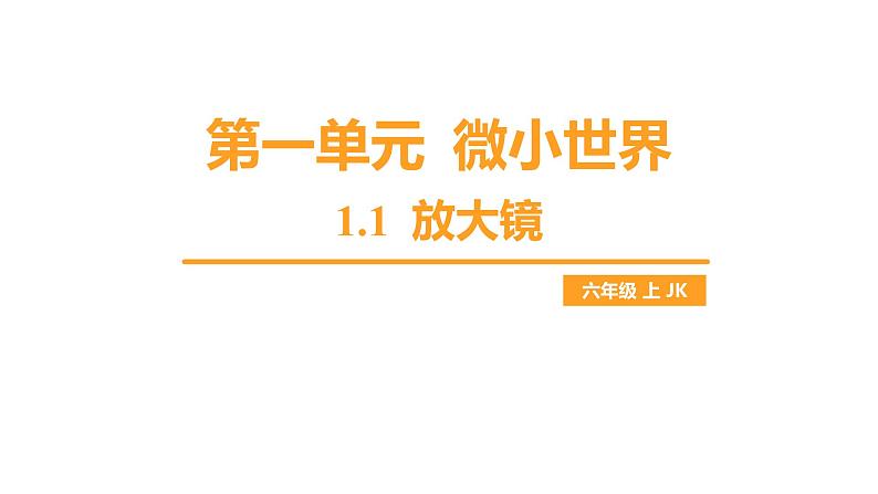 第一单元 微小世界-1.1 放大镜(练习课件)第1页