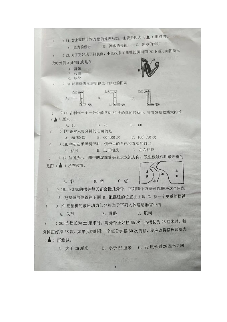 江苏省徐州市睢宁县2023-2024学年五年级上学期期末考试科学试题03