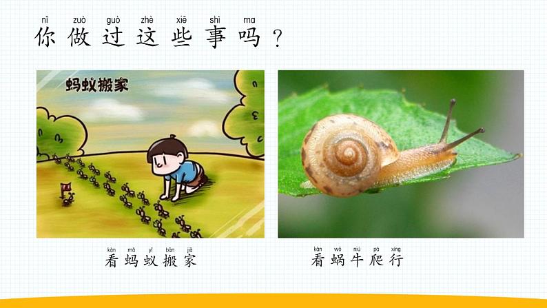 小学科学苏教版一年级上册第一单元第1课《小小科学家》教学课件(2024秋最新版)03