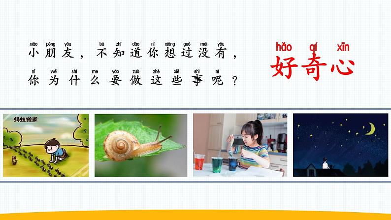 小学科学苏教版一年级上册第一单元第1课《小小科学家》教学课件(2024秋最新版)06