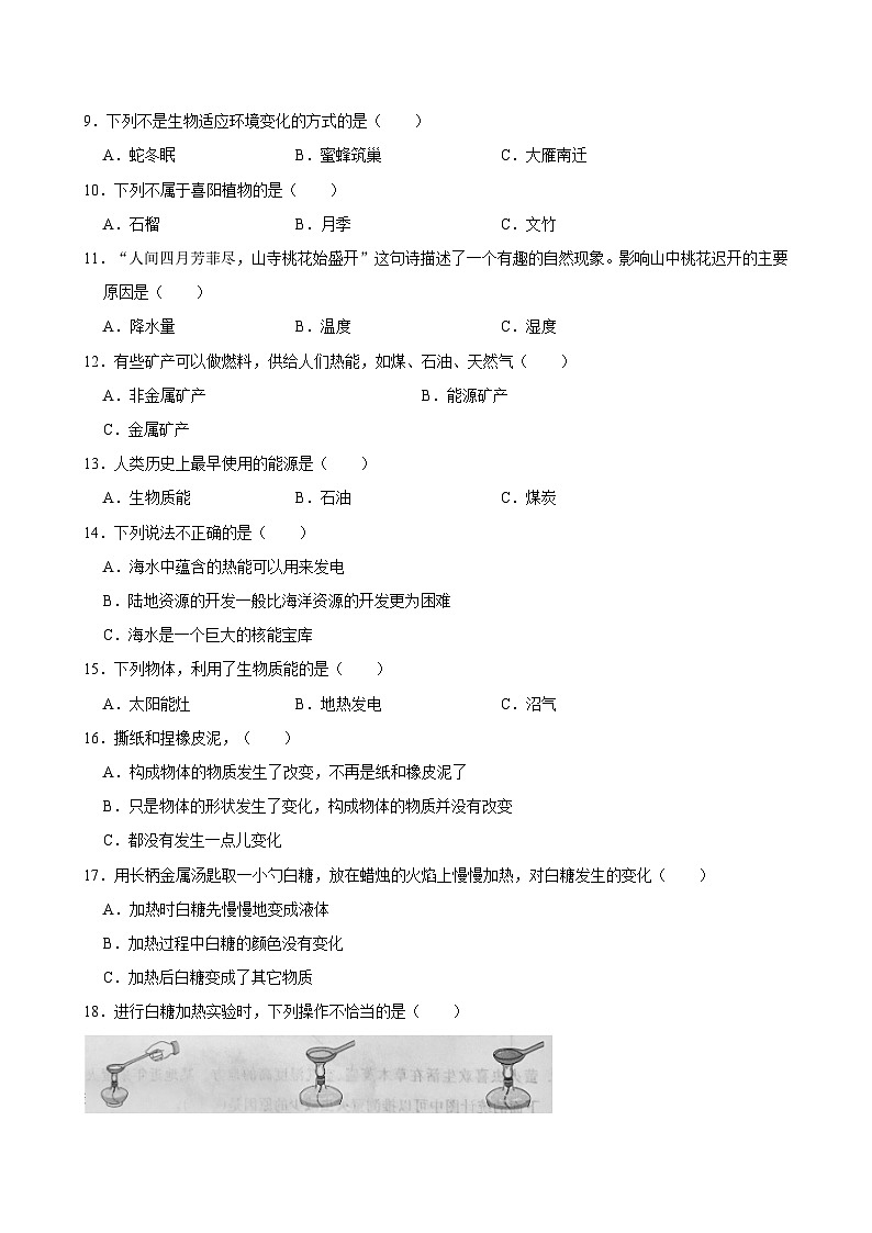2023-2024学年河南省郑州市二七区兴华小学教育集团六年级(下)期中科学试卷02