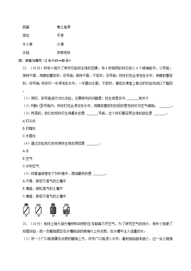 2024年河南省郑州市巩义市小升初科学试卷03