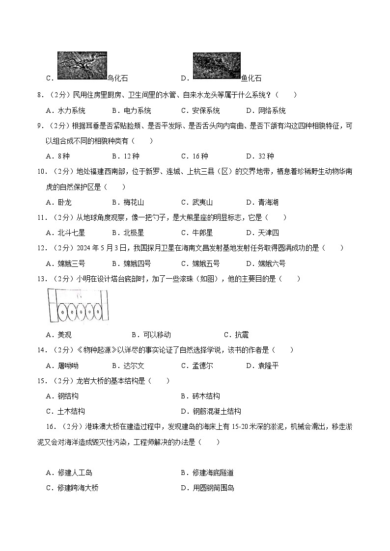 2024年福建省龙岩市新罗区小升初科学试卷第2页