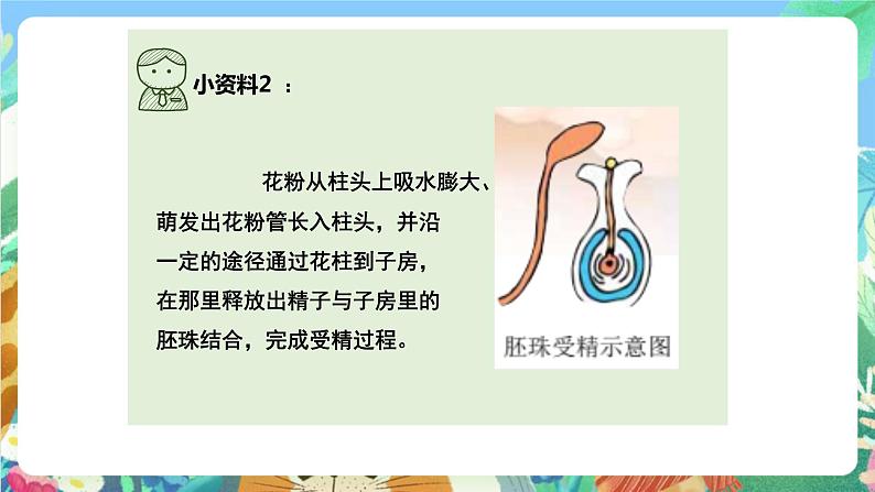 教科版科学四年级下册 2.3 《花、果实和种子》教学设计+反思+课件+课后习题附答案+素材07