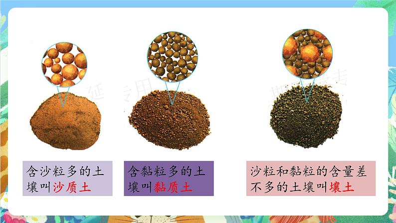 粤科版科学三年级下册 1.4 百变的土壤 课件05
