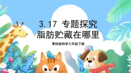 粤科版科学三年级下册 3. 17  专题探究：脂肪贮藏在哪里  课件