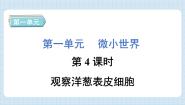 小学科学教科版 (2017)六年级上册4.观察洋葱表皮细胞习题ppt课件