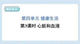 4.3 心脏和血液（习题课件)-2024-2025学年五年级上册科学教科版