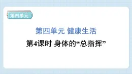 4.4 身体的“总指挥”（习题课件)-2024-2025学年五年级上册科学教科版