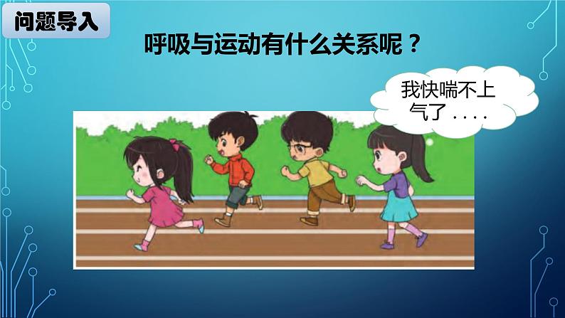 大象版小学科学四上第四单元 人体的呼吸器官4.呼吸与运动 课件第2页