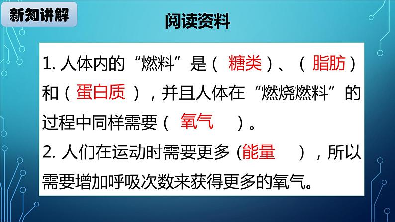 大象版小学科学四上第四单元 人体的呼吸器官4.呼吸与运动 课件第4页