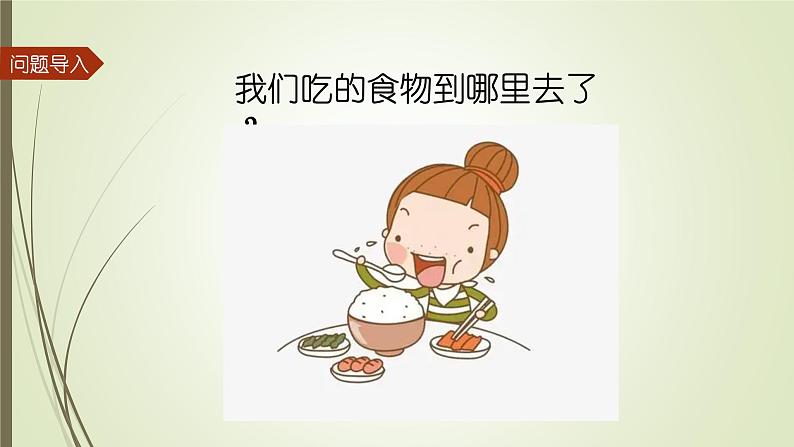 大象版小学科学四上第五单元 人体的消化器官1.一次神奇的旅行 课件02
