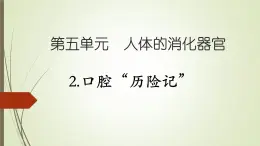 大象版小學(xué)科學(xué)四上第五單元 人體的消化器官2.口腔“歷險(xiǎn)記” 課件