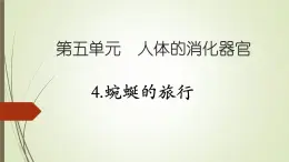 大象版小學(xué)科學(xué)四上第五單元 人體的消化器官4.蜿蜒的旅行 課件