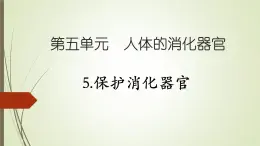 大象版小學(xué)科學(xué)四上第五單元 人體的消化器官5.保護(hù)消化器官 課件
