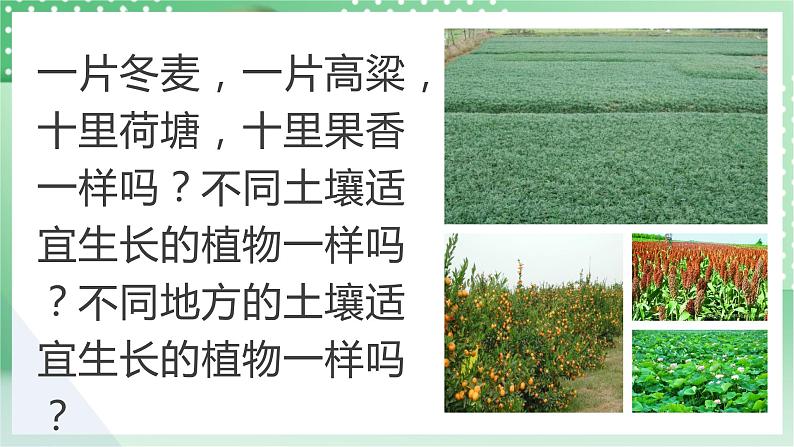 青岛版科学三年级下册 1.2.土壤的种类 课件 +视频03