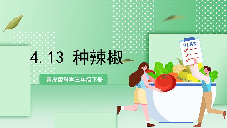 青岛版科学三年级下册 4.13 种辣椒 课件第1页