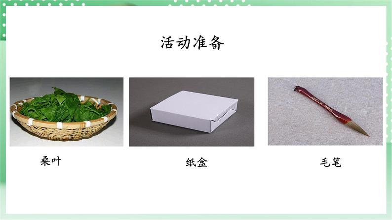 青岛版科学三年级下册 5. 17 养蚕 课件第3页