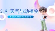 青岛版 (五四制2017)二年级下册9 天气与动植物精品ppt课件