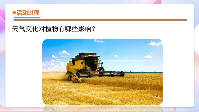 青岛版五四制科学二年级下册 3. 9 《天气与动植物 》课件第4页