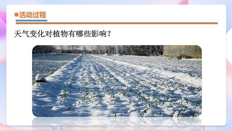 青岛版五四制科学二年级下册 3. 9 《天气与动植物 》课件第5页