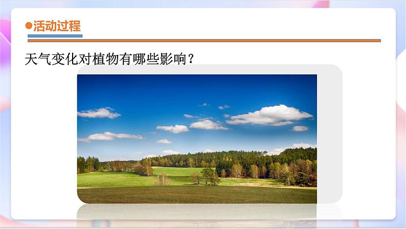 青岛版五四制科学二年级下册 3. 9 《天气与动植物 》课件第6页