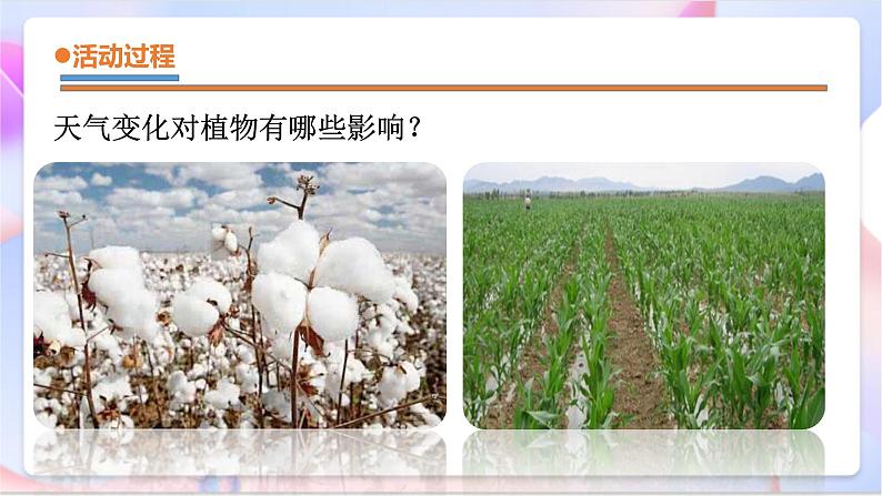 青岛版五四制科学二年级下册 3. 9 《天气与动植物 》课件第8页