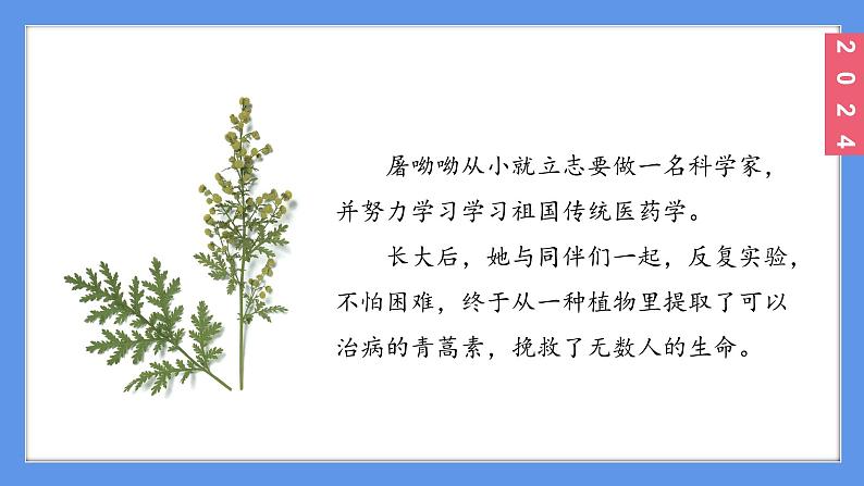 (2024)新教科版科学一年级上册1-1我们知道的植物PPT课件03