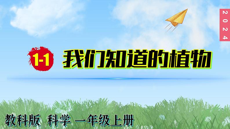 (2024)新教科版科学一年级上册1-1我们知道的植物PPT课件07