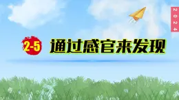 （2024）新教科版科学一年级上册2-5通过感官来发现PPT课件