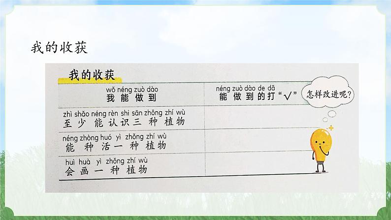 (2024)新教科版科学一年级上册1-7单元小结科学阅读PPT课件04