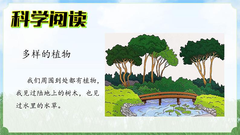 (2024)新教科版科学一年级上册1-7单元小结科学阅读PPT课件05
