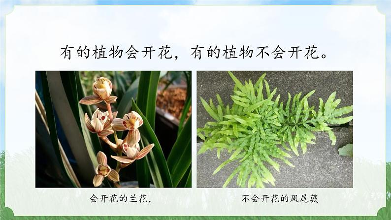 (2024)新教科版科学一年级上册1-7单元小结科学阅读PPT课件06
