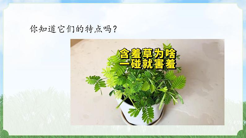 (2024)新教科版科学一年级上册1-7单元小结科学阅读PPT课件08
