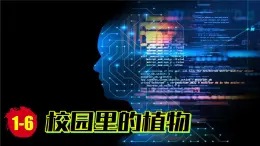 （2024）新教科版科学一年级上册1-6校园里的植物PPT课件