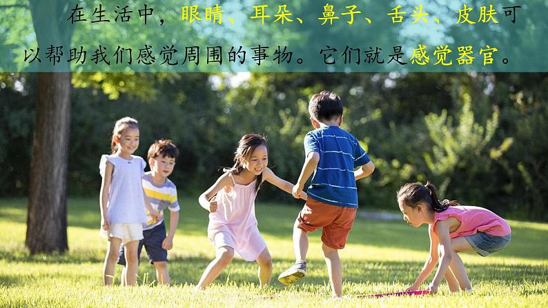 (2024)新教科版科学一年级上册2-1我们的身体PPT课件02
