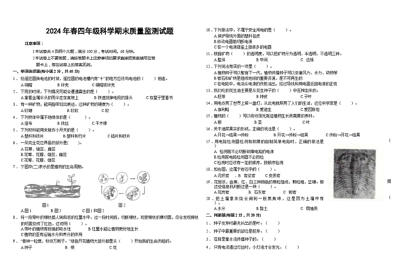 河南省新乡市封丘县2023-2024学年四年级下学期期末科学试卷第1页