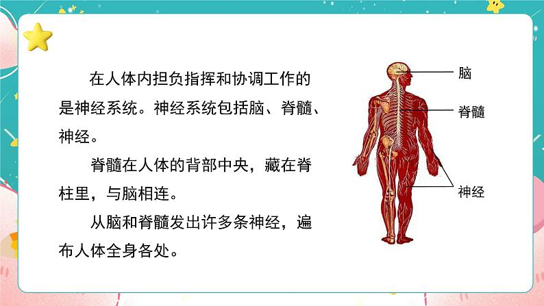 教科版五上《健康生活》第7课《制订健康生活计划》课件第2页
