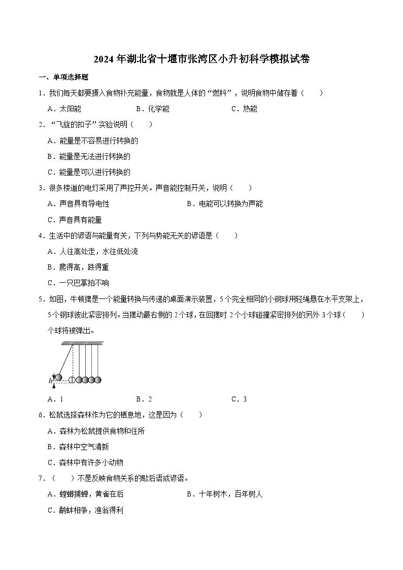 2024年湖北省十堰市张湾区小升初科学模拟试卷