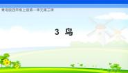 小学3 鸟优秀教学ppt课件