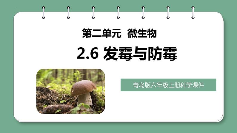 青岛版科学六年级上册 第6课 发霉与防霉(教学课件)第1页